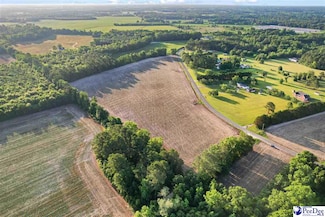 Lot 1 TBD Windham Town Rd, Lamar, SC 29069