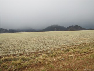 9809 Jackson Rd, Hartsel, CO 80449