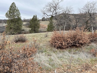 Unit 3 Lot 169 Whitepine Rd Unit 3, Hornbrook, CA 96044