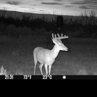 9881 U S 277, Abilene, TX 79606