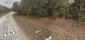 14376 Earline Rd, Brooksville, FL 34614
