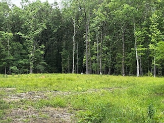 00 Gold Hill Rd, Atkins, AR 72823