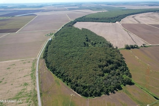 0 County Road 516, Schlater, MS 38952