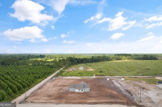 4452 Pembers Rd, Nahunta, GA 31553