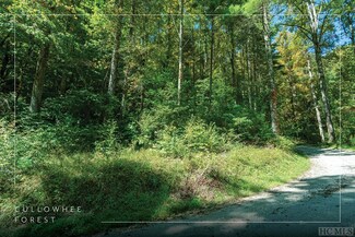 16 & 17 Cullowhee Forest Rd, Cullowhee, NC 28723