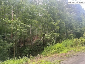 Lot 3 Cedar Cove Ln, Fleetwood, NC 28626
