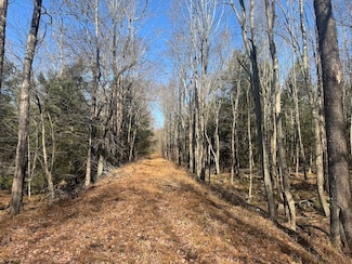 Snyder Rd Lot Unit WP001, Muncy Valley, PA 17758