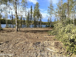 19531 E Good Land Dr, Willow, AK 99688