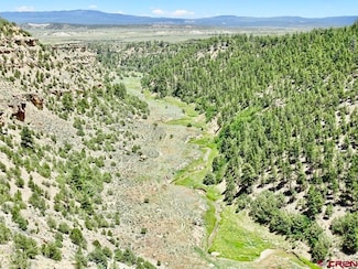 955 County Road 303 Unit Cross Canyon Ranch, Cebolla, NM 87518