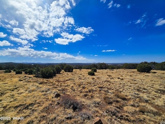 0 County Road N8060 Unit 254726, Concho, AZ 85924
