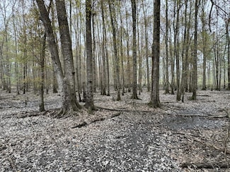 0 Mississippi 15, Ellisville, MS 39437