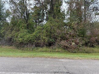 Lot 42 Durango Dr, Magnolia, TX 77354