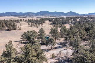 2115 Yellowstone Rd, Hartsel, CO 80449