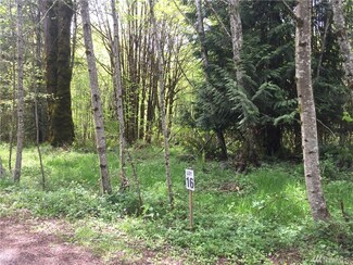 16 Tara Ln, Vader, WA 98593