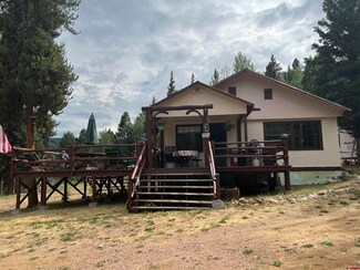 127 Chicago Park Rd, Almont, CO 81210