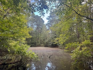 0 Joan Trail Unit 25134081, Brown Sprs., AR 71923