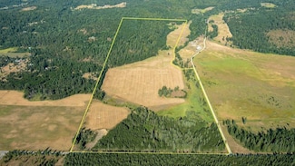 Tbd Whittum Rd, Priest River, ID 83856