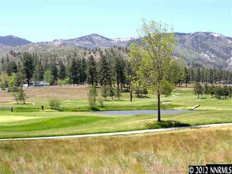 6 Black Horse Ct, Washoe Valley, NV 89704
