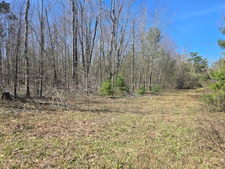 0 Iroquois Trail Unit 201833323, Hayes Township, MI 49735