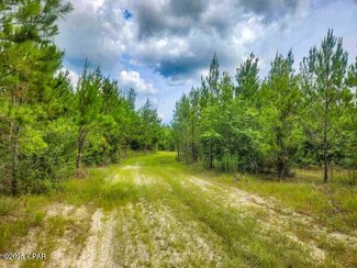 000 Jw Miller Rd, Bonifay, FL 32425