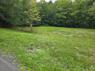 96 Deyo Rd, Coeymans Hollow, NY 12046