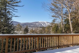 119 Pine Hill Rd, Ludlow, VT 05149