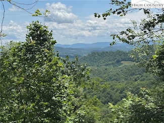 TBD- lot 2 Mayito Ln, Mouth of Wilson, VA 24363