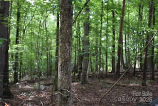 3375 Old Seine Rd, Smyrna, SC 29743
