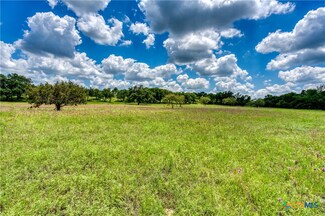 Tract 9A-5 Miller Creek Bluff, Briggs, TX 78608