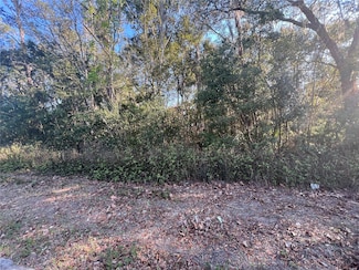 0 NE 14th St Unit MFROM696138, Ocala, FL 34470