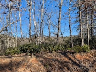 0 Old Crows Dr Unit L389, L390, Lake Lure, NC 28746