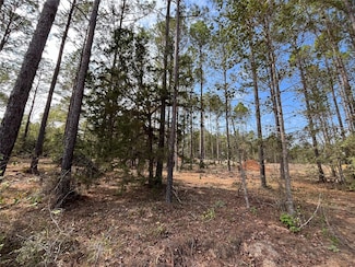 9682 Creek Vista Ln, Willis, TX 77378