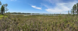 8335 Florida Boys Ranch Rd, Groveland, FL 34736