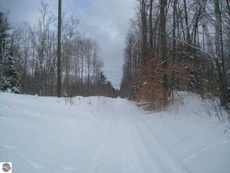 1640 East Trail SE, Kalkaska, MI 49646