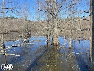 0 Rowell Rd Unit 21276898, Rison, AR 71665