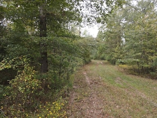 000 Mitchell Ln Unit LotWP001, Kingsland, AR 71652