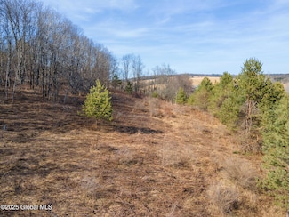 L20.2 Indian Brook Rd, Greene, NY 13778