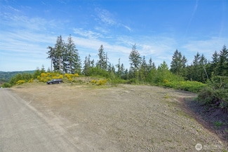 143 Bootjack Ln Unit Lot 1, Kelso, WA 98626