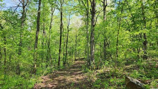 18.8 acres +/- Old 66 Rd, Leslie, AR 72645