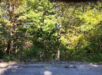 000 Skylee Unit 247, Hollister, MO 65672