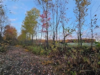 0 Spring Creek Rd, Hawkins, WI 54530
