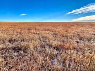 TBD County Road 8, Coolidge, KS 67836