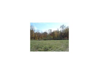 824 Leon Prall Rd, Otisco, IN 47163