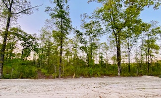 Lot 26 Plover, New Bern, NC 28562