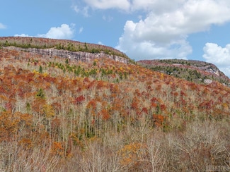 TBD Cold Mountain Rd, Lake Toxaway, NC 28747