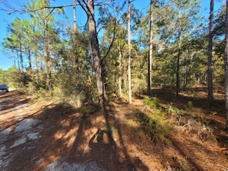 Lot 10 English Holly Ln, Defuniak Springs, FL 32433