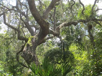 1277 SE 179th Ave, Silver Springs, FL 34488