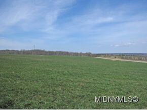 0 13 8 Ac Castle Rd Unit 1401460, Middleville, NY 13406