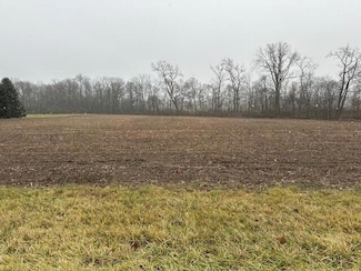0 Mingo-Lewisburg Rd, North Lewisburg, OH 43060