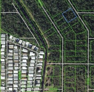 544 Live Oak St, Lake Placid, FL 33852